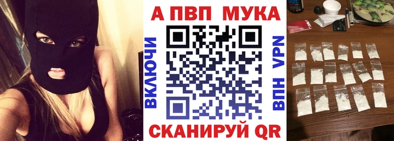 ссылка на мегу tor Осташков Alpha PVP крисы CK