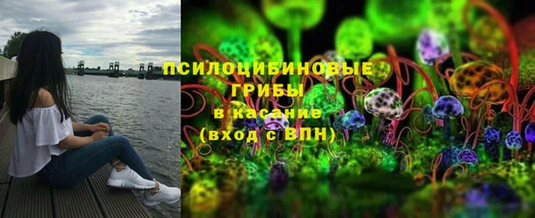 бошки Нефтегорск