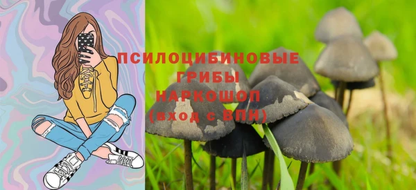 бошки Нефтегорск